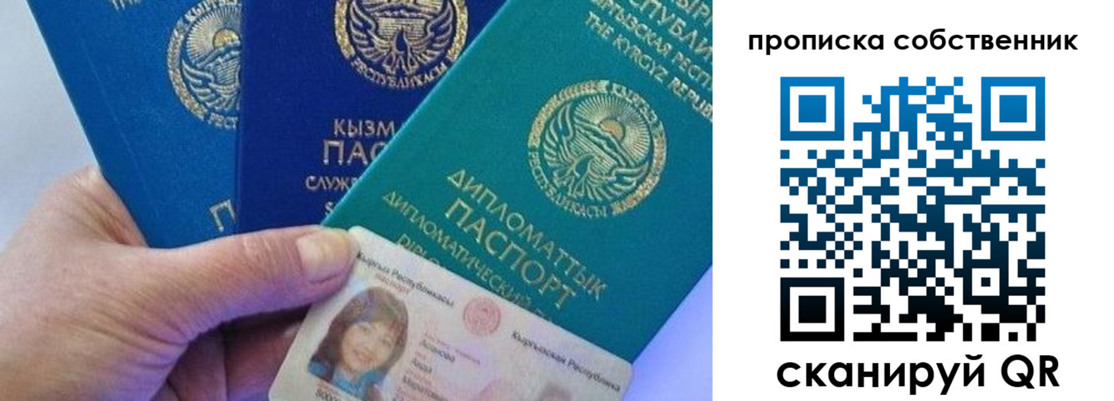 найти адрес прописки в Электрогорске